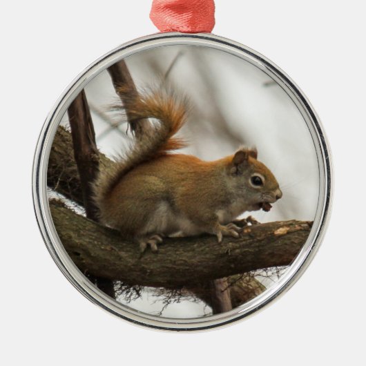 Rode eekhoorn metalen ornament (Voorkant)