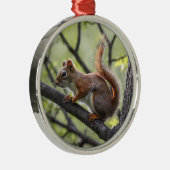 Rode eekhoorn metalen ornament (Rechts)