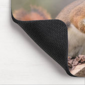 Rode eekhoorn muismat (Hoek)