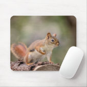 Rode eekhoorn muismat (Met muis)