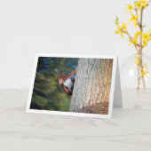 Rode eekhoorn op boom kaart (Gele Bloem)