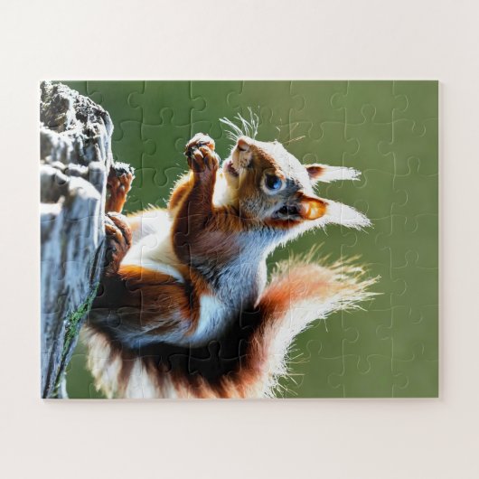 Rode eekhoorn op groene achtergrond legpuzzel (Horizontaal)