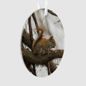 Rode eekhoorn ornament (voorkant)