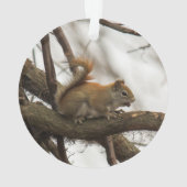 Rode eekhoorn ornament (achterkant)