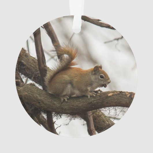 Rode eekhoorn ornament (achterkant)
