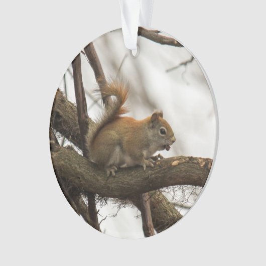 Rode eekhoorn ornament (voorkant)