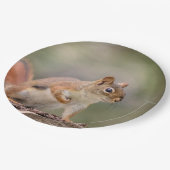 Rode eekhoorn papieren bordje (Gekanteld)