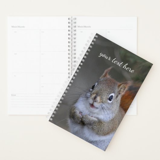 Rode eekhoorn planner (Display)