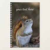 Rode eekhoorn planner (Voorkant)