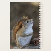 Rode eekhoorn planner (Achterkant)