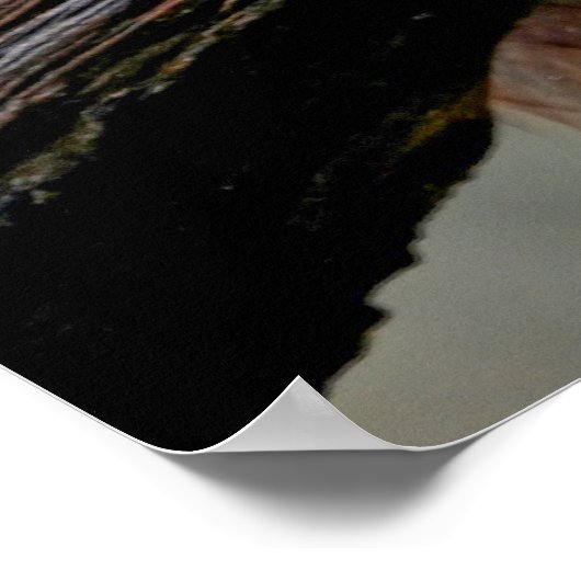 Rode eekhoorn poster (Hoek)