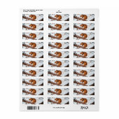 Rode Eekhoorn Retourlabel Etiket (Full Sheet)