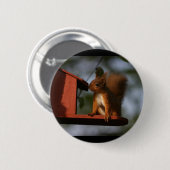 Rode eekhoorn ronde button 5,7 cm (Voorkant /achterkant)