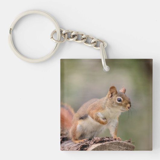 Rode eekhoorn sleutelhanger (Voorkant)