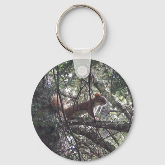 Rode eekhoorn Sleutelhanger #2 (Achterkant)