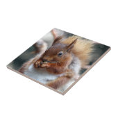 Rode eekhoorn tegeltje (Zijkant)