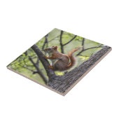 Rode eekhoorn tegeltje (Zijkant)