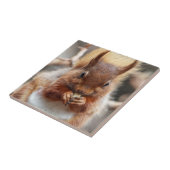 Rode eekhoorn tegeltje (Zijkant)