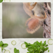 Rode eekhoorn theedoek (Gevouwen)