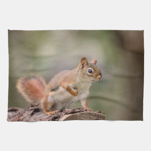 Rode eekhoorn theedoek (Horizontaal)