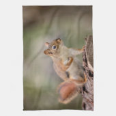 Rode eekhoorn theedoek (Verticaal)