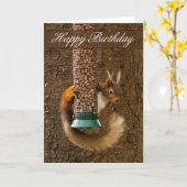 Rode eekhoorn verjaardag Kaart (Gele Bloem)