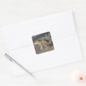 Rode eekhoorn vierkante sticker (Envelop)