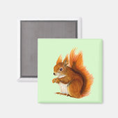 Rode eekhoorn Waterverf Schilderend natuurwerk Magneet (Voorkant / Achterkant)