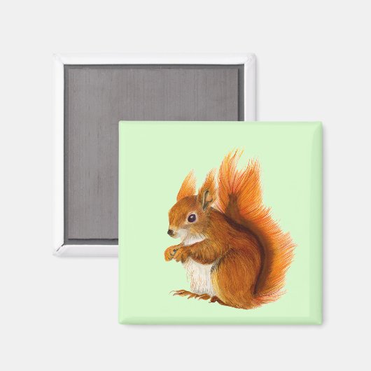Rode eekhoorn Waterverf Schilderend natuurwerk Magneet (Voorkant / Achterkant)