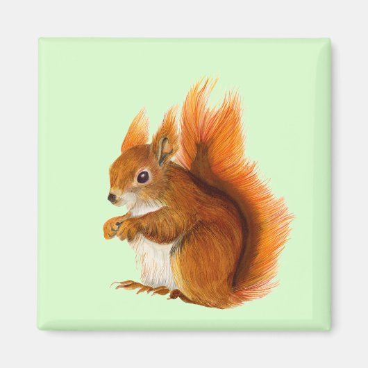 Rode eekhoorn Waterverf Schilderend natuurwerk Magneet (Voorkant)