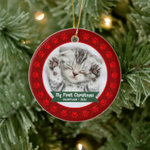 Rode eerste Kerstmis Huisdier Kitten Photo Paws Cu