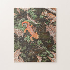 Rode Eft Legpuzzel