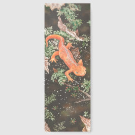 Rode Eft Salamander