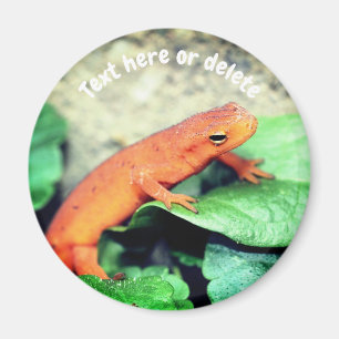 Rode Eft Salamander Natuur Gepersonaliseerd Magneet