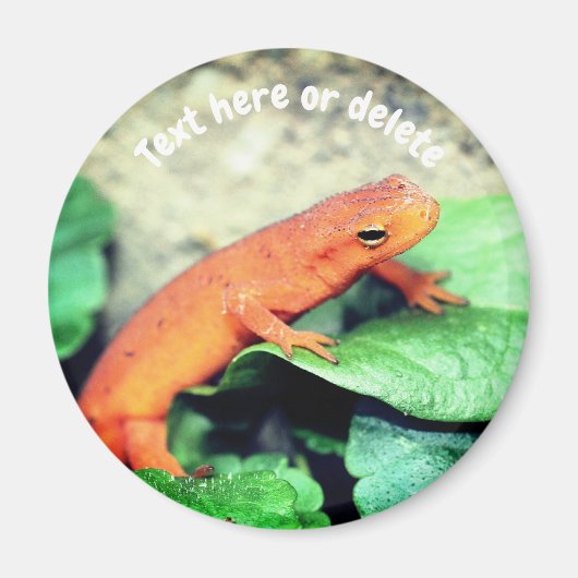 Rode Eft Salamander Natuur Gepersonaliseerd Magneet (Voorkant)