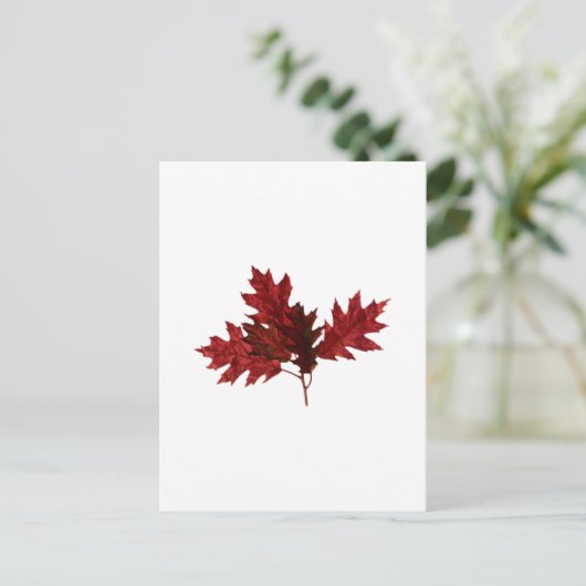 Rode eikenbladeren briefkaart (Staand voorkant)