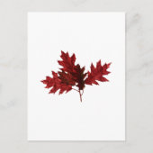 Rode eikenbladeren briefkaart (Voorkant)