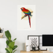Rode en Blauwe Ara Poster (Thuiskantoor)