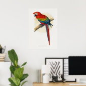 Rode en blauwe Macau (Ara macao) Poster (Thuiskantoor)