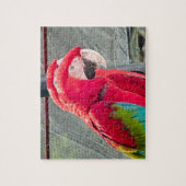 Rode en blauwe papegaaien die bij elkaar zitten legpuzzel (Verticaal)