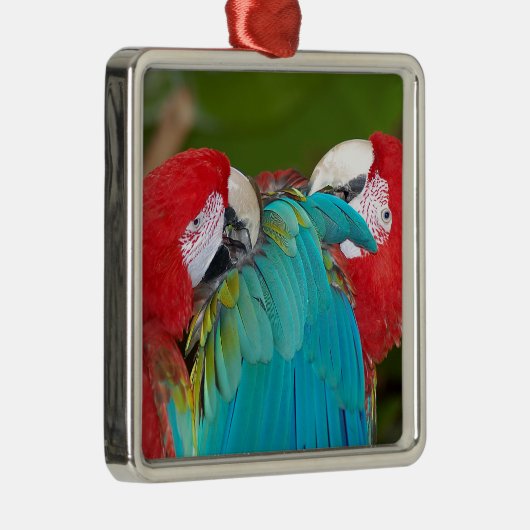Rode en blauwe papegaaien metalen ornament (Rechts)