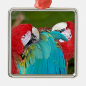 Rode en blauwe papegaaien metalen ornament (Voorkant)