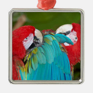 Rode en blauwe papegaaien metalen ornament