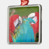 Rode en blauwe papegaaien metalen ornament (Links)