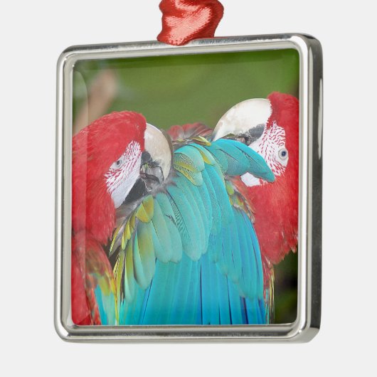 Rode en blauwe papegaaien metalen ornament (Links)