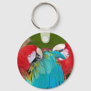Rode en blauwe papegaaien sleutelhanger