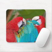 Rode en blauwe parrots drukmuizepad muismat (Met muis)
