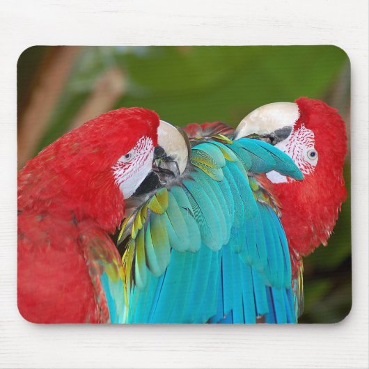 Rode en blauwe parrots drukmuizepad muismat (Voorkant)