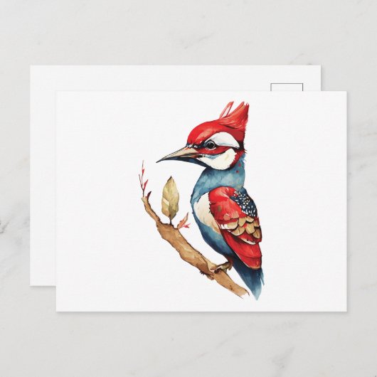 Rode en blauwe specht briefkaart (Voorkant / Achterkant)