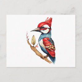 Rode en blauwe specht briefkaart